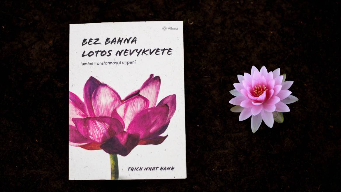Recenzia knihy – Thich Nhat Hanh – Bez bahna lotos nevykvete