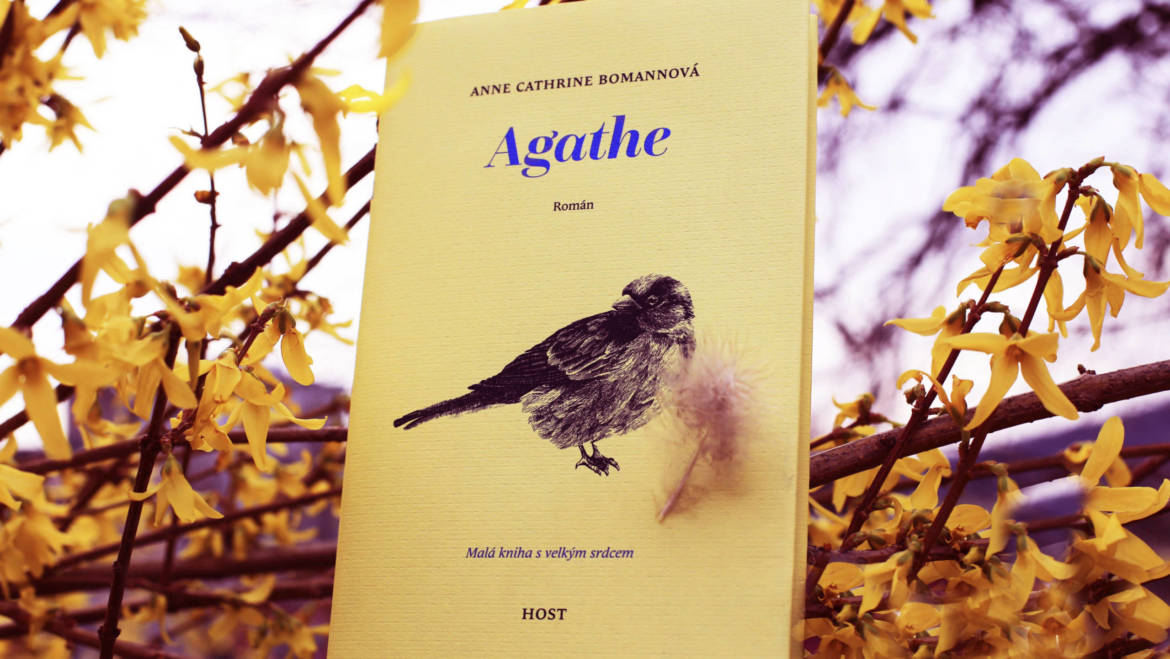 Recenzia knihy – Anne Cathrine Bomannová – Agathe