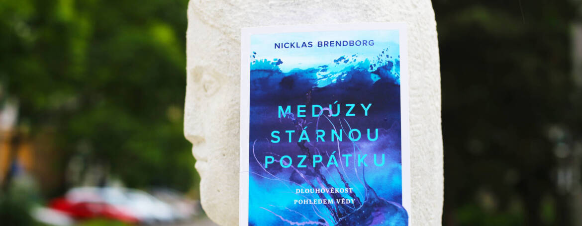 Recenzia knihy – Nicklas Brendborg – Medúzy stárnou pozpátku